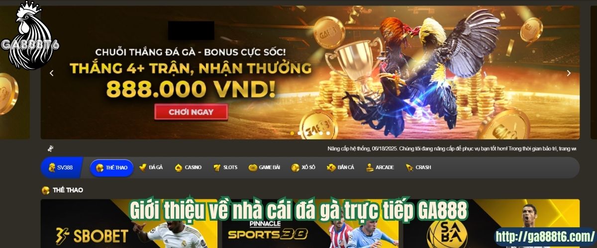 Giới thiệu về nhà cái đá gà trực tiếp tại GA888
