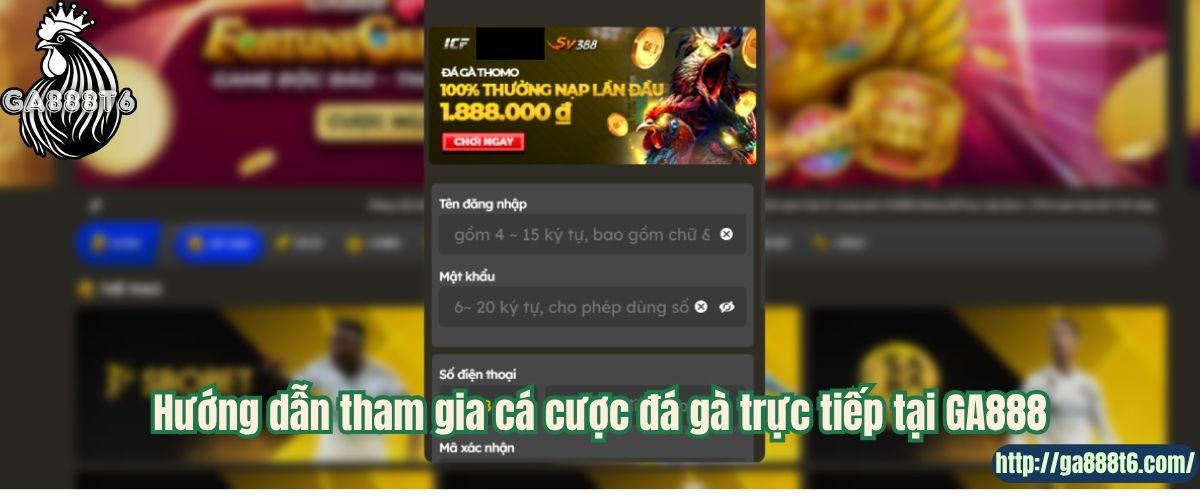 Hướng dẫn tham gia cá cược đá gà trực tiếp tại GA888