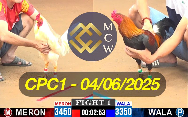 ĐÁ GÀ TRỰC TIẾP CPC1 NGÀY 04/06/2025